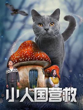 国产aⅴ爽av久久久久成人